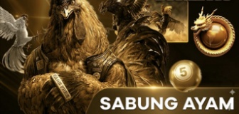 cockfight